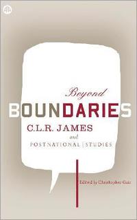 bokomslag Beyond Boundaries