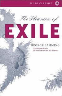 bokomslag The Pleasures of Exile