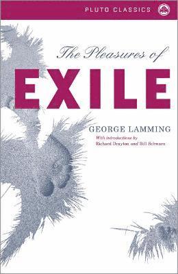 bokomslag Pleasures of Exile