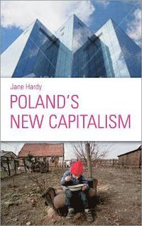 bokomslag Poland's New Capitalism