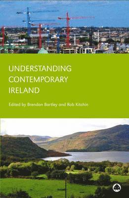 bokomslag Understanding Contemporary Ireland