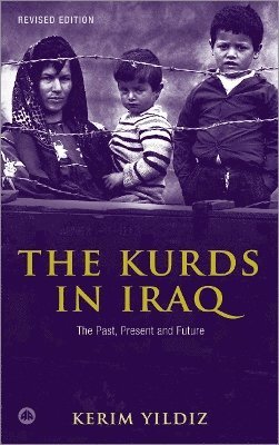 bokomslag The Kurds in Iraq