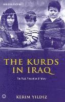 bokomslag The Kurds in Iraq