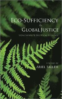 bokomslag Eco-Sufficiency and Global Justice