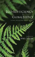 bokomslag Eco-Sufficiency and Global Justice