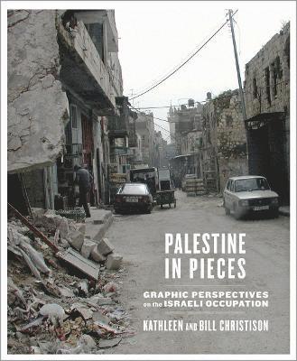 bokomslag Palestine in Pieces