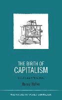 bokomslag The Birth of Capitalism