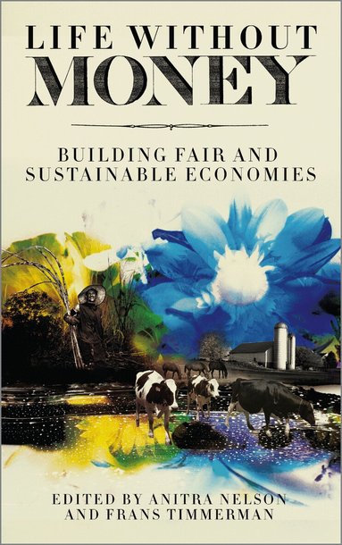 Anitra Nelson, Frans Timmerman - Life Without Money, Häftad