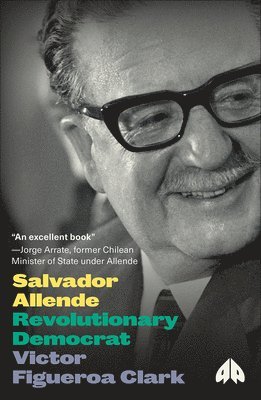 bokomslag Salvador Allende: Revolutionary Democrat