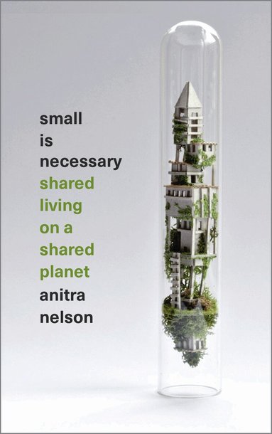 Anitra Nelson - Small is Necessary, Häftad