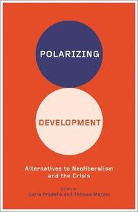 bokomslag Polarizing Development