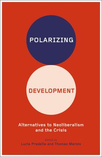 bokomslag Polarizing Development