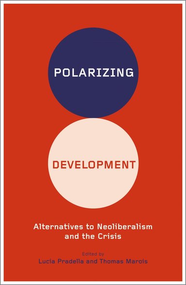 bokomslag Polarizing Development