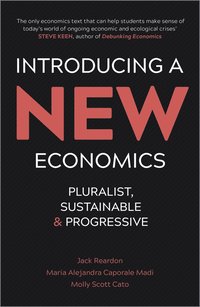 bokomslag Introducing a New Economics - Pluralist, Sustainable, Progressive