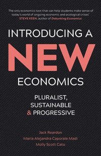 bokomslag Introducing a New Economics