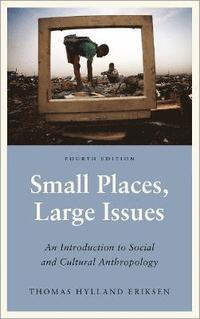 bokomslag Small Places, Large Issues - Fourth Edition: An Introduction to Social and Cultural Anthropology