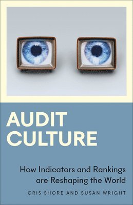 bokomslag Audit Culture