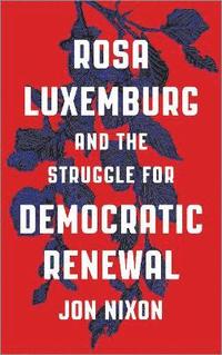 bokomslag Rosa Luxemburg and the Struggle for Democratic Renewal