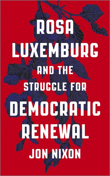 bokomslag Rosa Luxemburg and the Struggle for Democratic Renewal