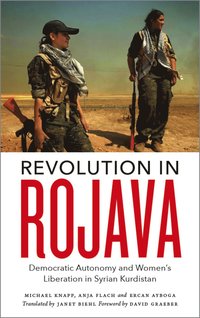 bokomslag Revolution in Rojava