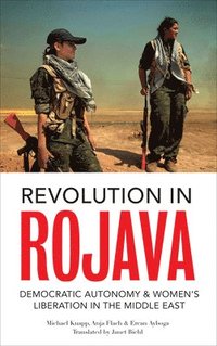 bokomslag Revolution in Rojava