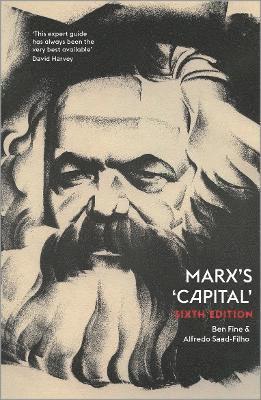 bokomslag Marx's 'Capital'