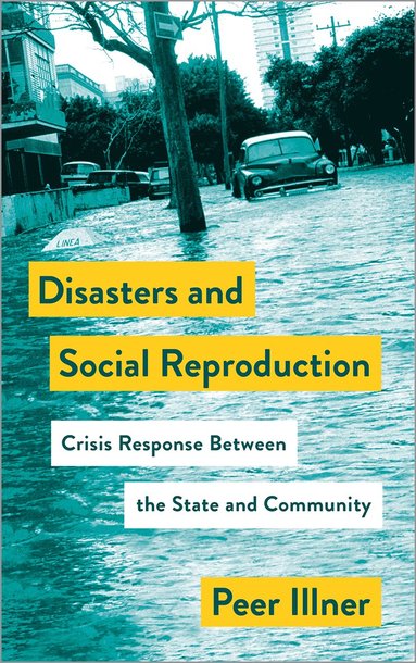 bokomslag Disasters and Social Reproduction