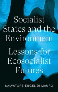 bokomslag Socialist States and the Environment