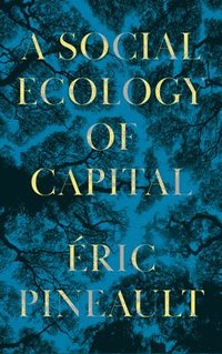 bokomslag A Social Ecology of Capital