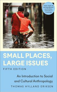 bokomslag Small Places, Large Issues: An Introduction to Social and Cultural Anthropology