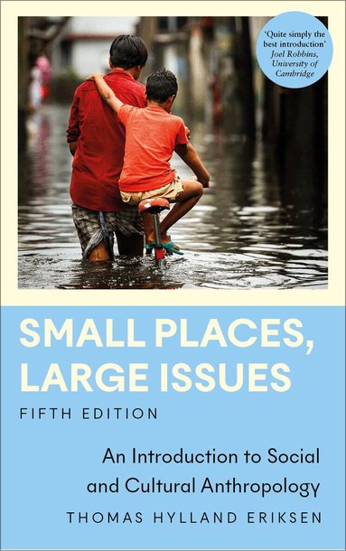 Thomas Hylland Eriksen - Small Places, Large Issues, Häftad