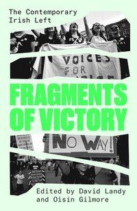 bokomslag Fragments of Victory