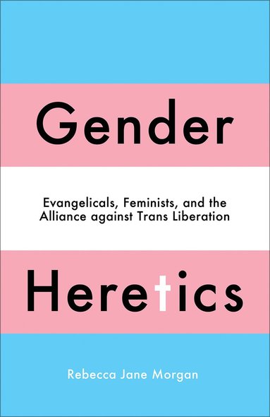 bokomslag Gender Heretics