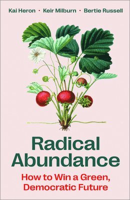 bokomslag Radical Abundance