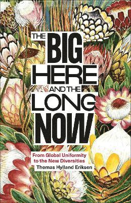 Thomas Hylland Eriksen - Big Here and the Long Now, Häftad