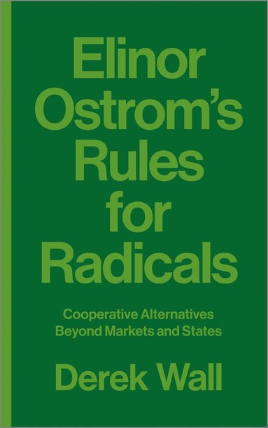 bokomslag Elinor Ostrom's Rules for Radicals