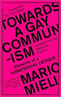 bokomslag Towards a Gay Communism