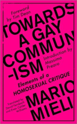 Mario Mieli - Towards a Gay Communism, Häftad