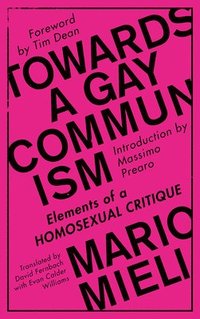 bokomslag Towards a Gay Communism