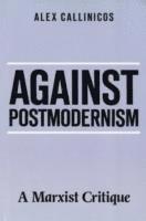 bokomslag Against Postmodernism
