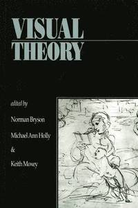 bokomslag Visual Theory