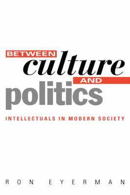 bokomslag Between Culture and Politics