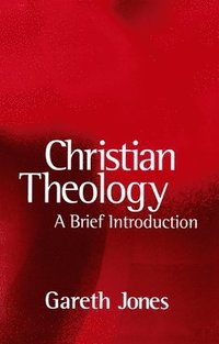 bokomslag Christian Theology