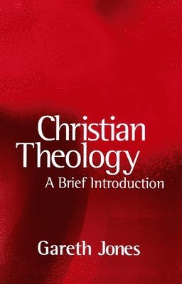 bokomslag Christian Theology