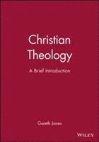 bokomslag Christian Theology