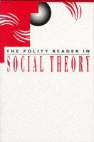 Polity,, Polity - Polity Reader in Social Theory, Häftad