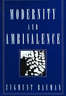 bokomslag Modernity and Ambivalence