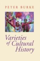 bokomslag Varieties of Cultural History