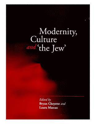 bokomslag Modernity, Culture and 'The Jew'