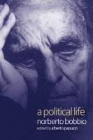 Alberto Papuzzi - Political Life, Häftad